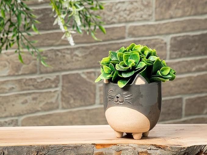 Abbott Collection Stoneware Cat on Legs Planter - Large (5" H)