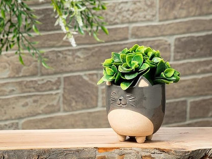 Abbott Collection Stoneware Cat on Legs Planter - Large (5" H)
