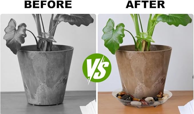 6 Pack Heavy Duty Clear Plastic Plant Saucer Sturdy Pot Tray,Plant Water Catcher Clear Thick Plastic Heavy Duty Plant Sturdy Saucer Drip Trays for pots (6 INCH)