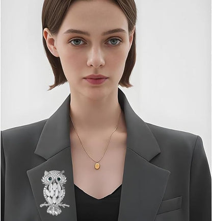 Rhinestone Owl Brooch Pin for Women Cute Big Cartoon Cat Eye Stone Owl Bird Brooch Unique Double Owl Brooch Pin Clothes Bag Hat Dress Jewelry