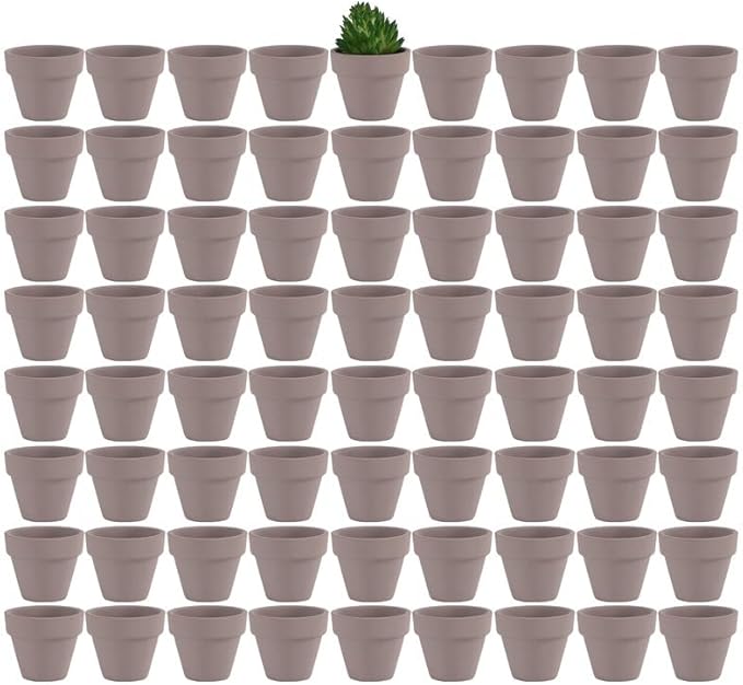 Yishang 1.9 Inch Tiny Grey Terracotta Pots Pack of 72-Small Mini White Clay Pots with Drainage Holes Flower Nursery Terra Cotta Planter for Tiny Cactus,Herb,Succulent Plants,Crafts