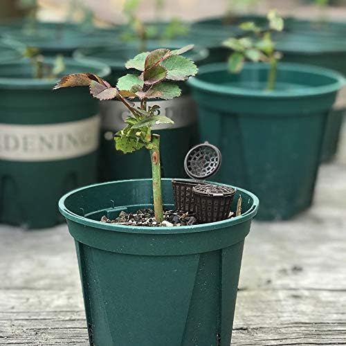 Tegg Fertilizer Basket 10PCS Fertilizer Box with Cover for Osmocote Orchid Bonsai Flower Plant