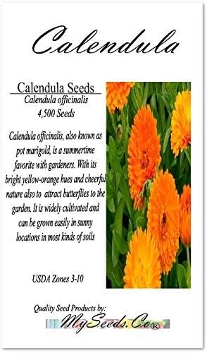 Big Pack - Calendula Flower Seeds (4,500 Seeds) - Calendula officinalis Pacific Beauty Mix - Edible Flower Seeds (Big Pack - Calendula Mix)