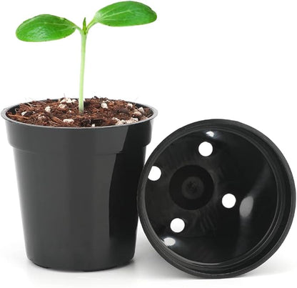 KINGLAKE 2 Inch Plastic Nursery Pots,100 Pcs Seed and Cutting Pots for Succulent Plants (Black)