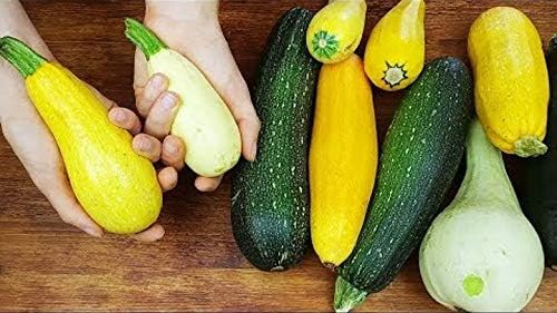 Seeds Zucchini Courgette Squash Summer Mix Heirloom Vegetable for Planting Non GMO