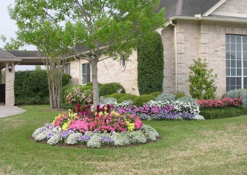 Nelson - Trees, Shrubs, & Evergreens Plant Food for In-Ground, Containers, & Patios, Granular Fertilizer, NutriStar 21-6-8 (25 lb.)