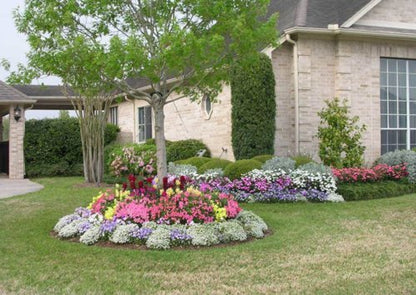 Nelson - Trees, Shrubs, & Evergreens Plant Food for In-Ground, Containers, & Patios, Granular Fertilizer, NutriStar 21-6-8 (15 lb.)