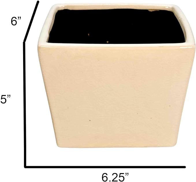 Admired by Nature 6" Ceramic Flower Planter Pot - for Home Decor, Indoor Gardens, Succulents, Organization, Display, Storage - Large White