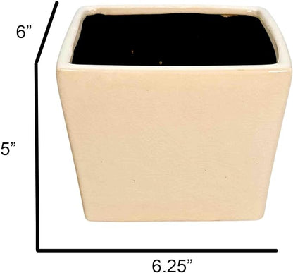 Admired by Nature 6" Ceramic Flower Planter Pot - for Home Decor, Indoor Gardens, Succulents, Organization, Display, Storage - Large White