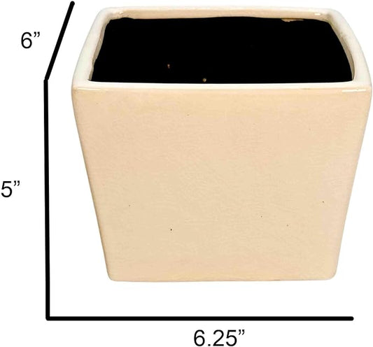 Admired by Nature 6" Ceramic Flower Planter Pot - for Home Decor, Indoor Gardens, Succulents, Organization, Display, Storage - Large White