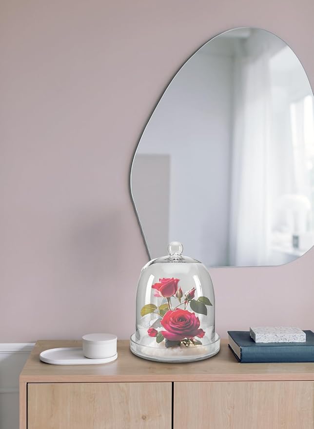 Serene Spaces Living Glass Cloche, Ideal as a Terrarium, Great to Hold Airplants, Flower Blooms, Accessories, Photos, Candles, Dessert Display, Home, Office Decor, Gift Idea, 11" Diameter & 13" Tall