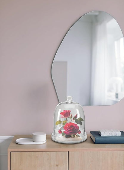 Serene Spaces Living Glass Cloche, Ideal as a Terrarium, Great to Hold Airplants, Flower Blooms, Accessories, Photos, Candles, Dessert Display, Home, Office Decor, Gift Idea, 11" Diameter & 13" Tall