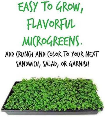 Red Acre Cabbage Microgreens & Sprouting Seeds – 5 Lb – Non-GMO, Chemical-Free – High-Germination Seeds for Nutritious Microgreens, Sprouts, Hydroponic Growing, and Indoor Gardening