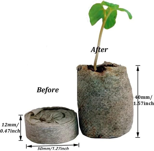 100 Pcs Peat Pellets Seed Starting Plugs Pellets Seedling Soil Block Nursery Soil for Indoors Garden Flowers Seedling Planting Seeds Starter Pellet for Transplanting Planting (50mm)