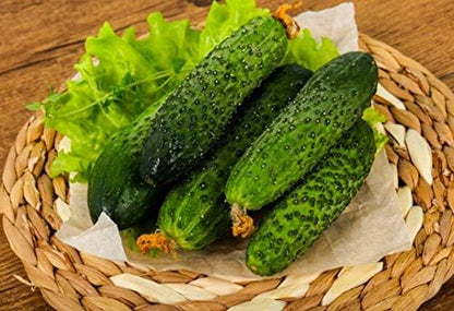 Seeds Cucumber Parisian Gherkin Open-Pollinated Pickling Non GMO Vegetable for Planting