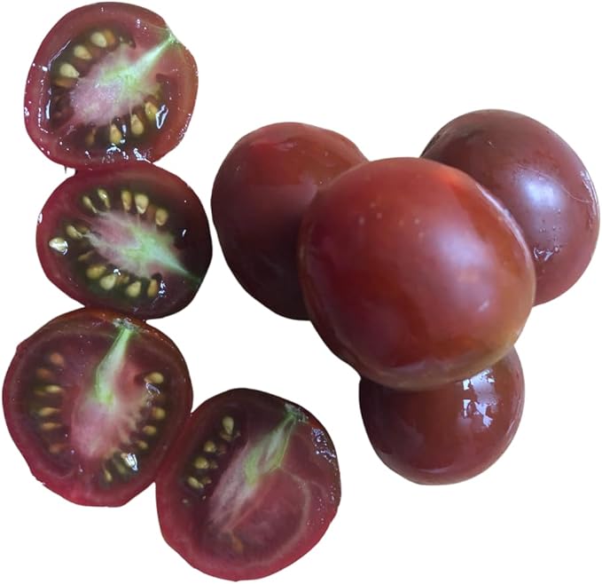 Smoke Camp Crafts Organic Chocolate-Covered Cherry Tomato (Solanum lycopersicum) 150 Seeds (0.5 gram) - Prolific and Unique Cherry Tomato