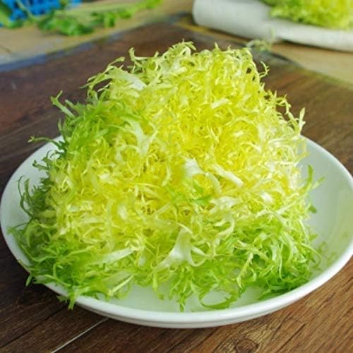 Seeds Endive Lettuce Yellow Heart Curly Frisee 50 Days for Salad Non GMO Vegetable for Planting 700 Seeds