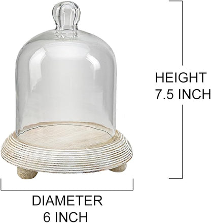 Serene Spaces Living Curio Glass Dome with Natural Wooden Base, Airplants, Flower Blooms, Accessories, Photos, Candles, Dessert Display, Home, Office Decor, Gift Idea - 6" Diameter & 7.5" Tall