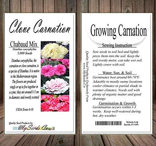 Big Pack - Clove Carnation Seed (5,000 Seeds) - Dianthus caryophyllus Chabaud Mix - Edible Flower Seeds (Big Pack - Clove Carnation)