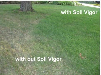 2 Lb. Soil Vigor Super Absorbent Polymer, Moisture Trap for Trees, Shrubs, Vegetable, Flower Gardens, Lawns, and Potting Plants