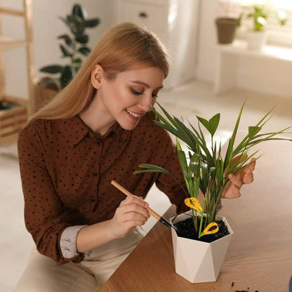 30PCS Fruit Fly Traps for Indoors Gnat Traps for House Indoor Yellow Sticky Traps for Plant Gnats Catcher for Whiteflies Fungus Gnat Mosquitoes Thrips... Stake Holders Included