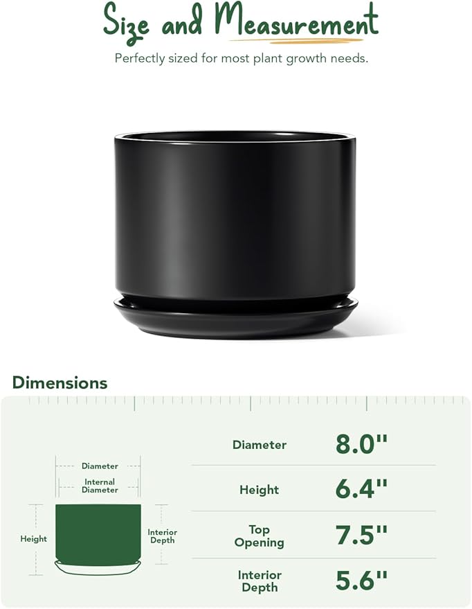 LE TAUCI Ceramic Pots for Plants, 8 Inch Plant Pot with Drainage Hole & Saucer, Modern Minimalist Planters for Indoor Plants, Round Flower Pot for Snake Plant, Monstera, Perfect for Home Decor, Black