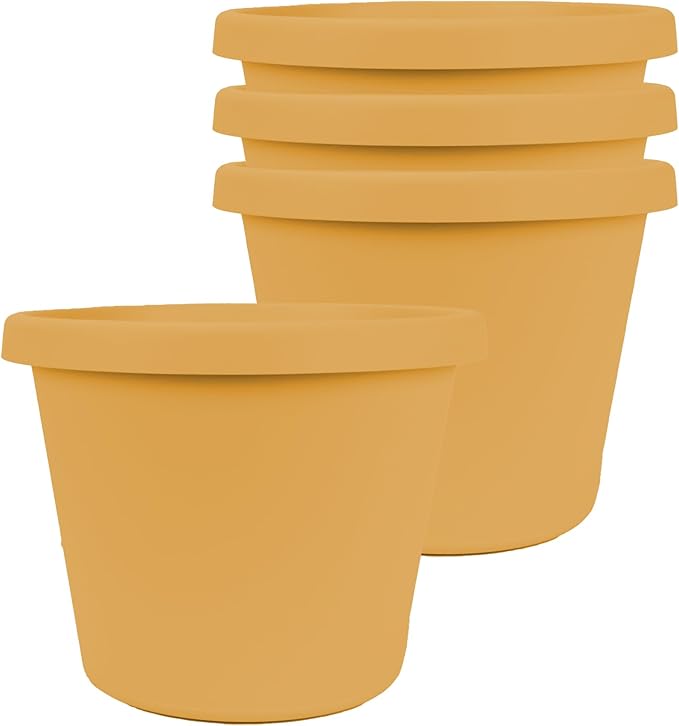 The HC Companies 8 Inch Prima Round Planter Pots with Drainage Holes and Rolled Rim, Lightweight UV-Resistant Plastic Indoor & Outdoor Planters, 4-Pack Flower Pots for Garden & Home Decor, Honey