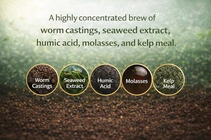 Worm Castings Tea Plant Juice - Gallon. Concentrated Worm Tea with Kelp and Feather Meals. Indoor and Outdoor Soil Restorer and Plant Fertilizer for All Vegetation with Soil. (Gallon)
