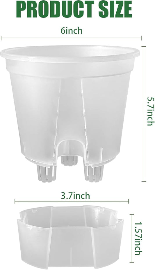 Cdd's Path 5-Pack 6 Inch Self Watering Naked Root Planter Pots with Drainage Holes & Reservoir, Plastic Planters with Air Pipes for Indoor Outdoor Plants，Clear