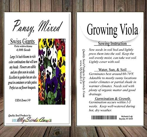 Big Pack - Pansy, Mixed Flower Seed (4,000 Seeds) - Viola wittrockiana 'Swiss Giants' - Edible Flower Seeds (Big Pack - Pansy Mix)