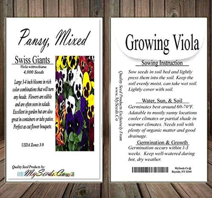 Big Pack - Pansy, Mixed Flower Seed (4,000 Seeds) - Viola wittrockiana 'Swiss Giants' - Edible Flower Seeds (Big Pack - Pansy Mix)