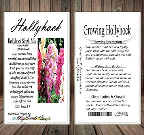 Big Pack - Hollyhock Single Mix Seed (3,000 Seeds) - Alcea rosea Heirloom Seeds - White to Dark red, Including Pink, Yellow and Orange Edible Flower Seeds (Big Pack - Hollyhock Mix)