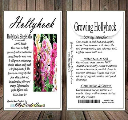 Big Pack - Hollyhock Single Mix Seed (3,000 Seeds) - Alcea rosea Heirloom Seeds - White to Dark red, Including Pink, Yellow and Orange Edible Flower Seeds (Big Pack - Hollyhock Mix)