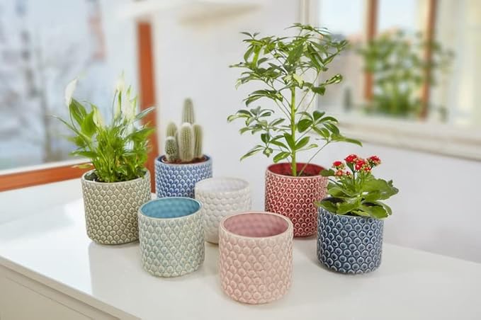 Bloomingville Stoneware Flower Pot with Polka Dots - Planter for Succulents Plants, Colorful, 5", Sky Blue