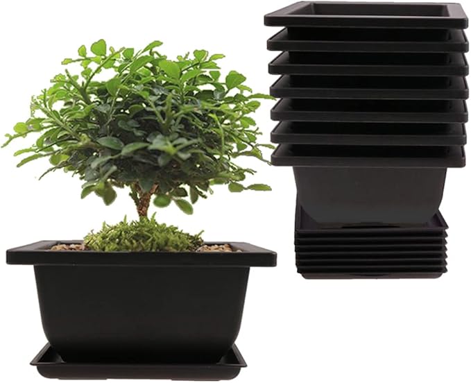 8PCS/Pack Retro Style Square Small Bonsai Training Pots with Tray, Mini Plastic Mocha Garden Flower Pot 4.7"