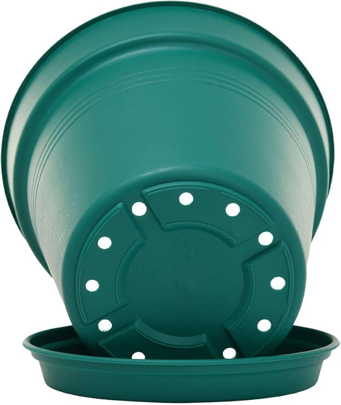 Mintra Home Garden Pots 4pk - Flowers, Herbs, Plants, Indoor, Outdoor, Colorful, Wholesale, Bulk (Forest Green, 17cm Diameter (6.6in))