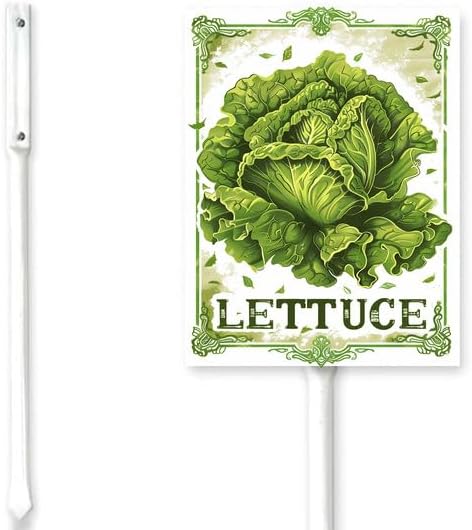 Bidesign (6X4.6) IN Lettuce Aluminum Vegetable Garden Sign With Stake Plant Marker Vegetable Garden Stake With Vegetable Name For Nursery Vegetable Garden Fence Decoration Outdoor