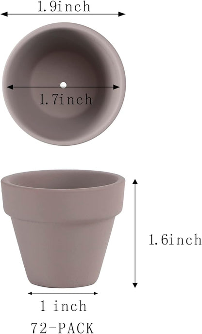 2 Inch Grey Terracotta Pots Pack of 72 - Mini Clay Pot with Drainage Hole for Tiny Cactus Herb lithop, Small Succulent Planter Nursery Plant Pot for Windowsill, Cactus Plant, Crafts, Wedding Favors