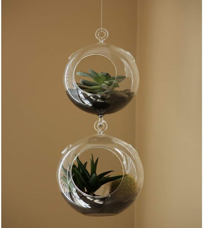 WGV Hanging Terrarium Globe, Width 4", Height 6", Double Hook, DIY Air Succulent Planter, Clear Glass Vase Orb, Candle Holder for Windowsill Outdoor Garden Decor, 1 Piece