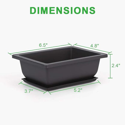 GROWNEER 6 Packs 6.5 Inch Bonsai Training Pots with Drainage Humidity Trays, Bonsai Tree Kits with 1 Repotting Mat, Growing Planter for Garden, Yard, Balcony, Office, Indoor, Outdoor