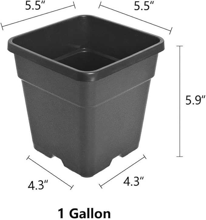 Plant Pots Flower Pot 10-Pack 1 Gallon Planter Nursery Pot Garden Seedling Planters Containers Plastic Injection Molded Pots with Drainage Holes for Outdoor Indoor Plants Vegetables, Black