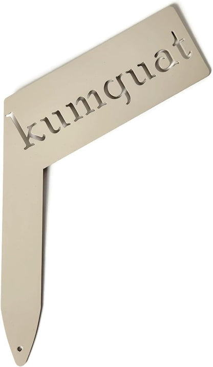 Planter Size Small Metal Garden Plant Vegetable Flower or Herb Markers 13.5 Inches Tall (kumquat, Cream)