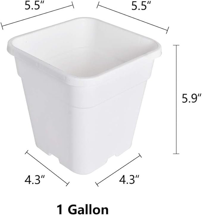 Plant Nursery Pot 10-Pack 1 Gallon Square Plastic Garden Planter Pots Flower Seedling Injection Molded Container Seed Starting Pot Set for Indoor Outdoor Plants Seedlings Vegetables White