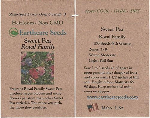 Fragrant Sweet Peas 100 Seeds Royal Family (Lathyrus odoratus)