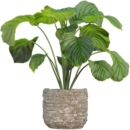 Admired by Nature 5" Ceramic Flower Planter Pot - for Home Decor, Indoor Plants, Garden Display, Organization - Stone