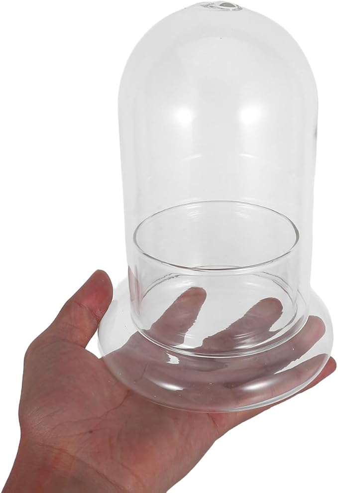 Hemoton Micro Landscape Ecological Bottle Terrarium Jar with 8Mm Hole Glass Plant Dome for Home Office Decoration and DIY Miniature Garden
