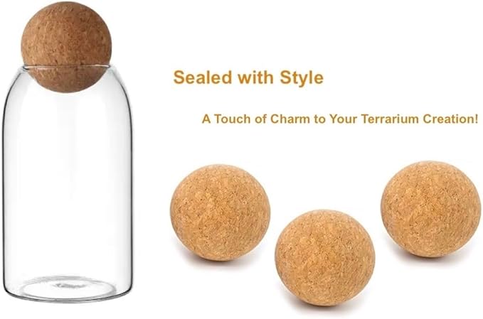Glass Terrariums with Airtight Wooden Lid (Ball Cork) | Closed Terrarium Planters | Clear Glass Bottle Jar Containers | Set of 3 | Jars for Indoor Plants/Moss (Set of 3 (800ml / 27oz))