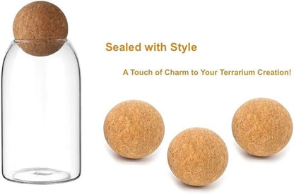 Glass Terrariums with Airtight Wooden Lid (Ball Cork) | Closed Terrarium Planters | Clear Glass Bottle Jar Containers | Set of 3 | Jars for Indoor Plants/Moss (Set of 3 (800ml / 27oz))