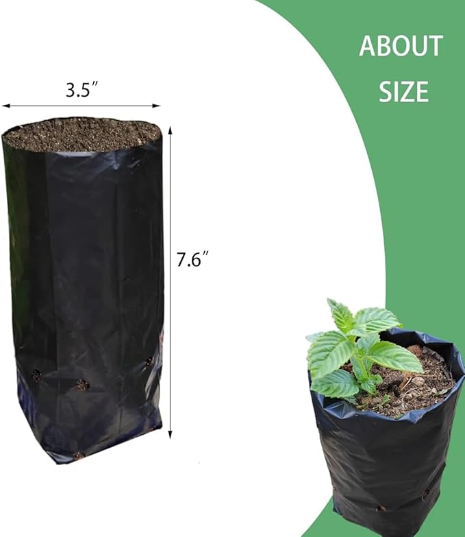Belit 100 Pcs Plant Nursery Bags, Plastic Seedling Pots Container for Fruit Tree, Flower, Starting saplings, Plant Grow(3.5"x7.6")