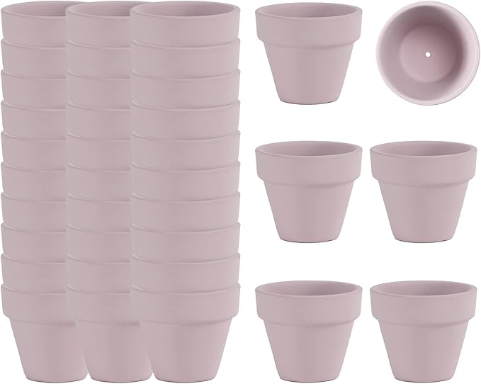 36 Pieces of Small Mini Pink Flower pots 2 inch Clay Flower pots,Cactus Flower pots,Succulent Nursery pots with Drainage Holes,Suitable for Indoor/Outdoor Succulent Plants,Crafts,Wedding Favor